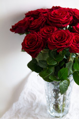 red roses on a white background