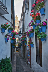 Calleja de las Flores © lhboucault