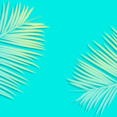Fototapeta na wymiar Flat lay palm leaves with blank copy space. Seasonal summer concept for background. 