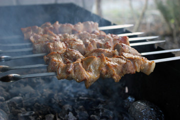 Tasty pork shish kebab on skewers roasting on hot smoky charcoal