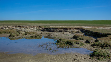 shore of the north sea.