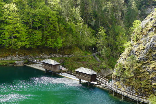 Prescenyklause