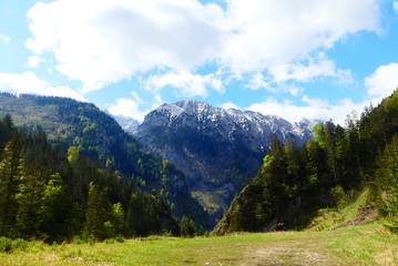 Fototapeta na wymiar Alpenlandschaft in der Steiermark