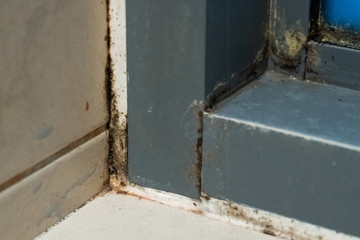 Old plastic window frame in the shower. Moldy angle, fungus. Problem areas shower.