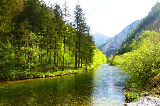 die Salza, Fluss im Mariazellerland