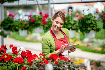 Greenhouse worker looking at her beautiful flowers while holding a tablet