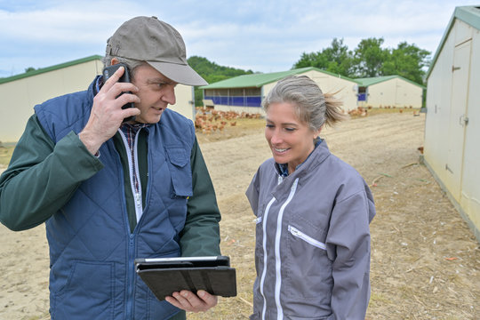 Veterinary and female farmer analysing the growth of the chicken breeding on a tablet while he is phoning to  his office