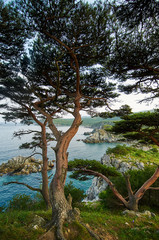 High cliffs in the ocean. Rocky islands and rocks in Orlik Bay in the Sea of Japan. Far East. In the foreground are trees.