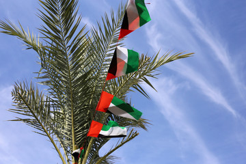 United Arab Emirates (UAE) flags photographed near Dubai, United Arab Emirates, Jan 2020. Flags with and without of pictures of sheikhs, palm tree leaves and blue sky with some clouds. Color photo.