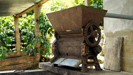 Fototapeta na wymiar Despulpadora de café. Luego de introducir los frutos del café en esta máquina, se gira la manivela y salen las semillas que luego se pondrán a secar.