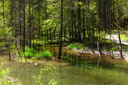 Naturpark Eisenwurzen, Steiermark