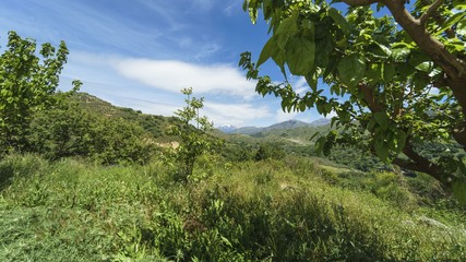 View along the slope of the mountain to the snowy peak in summer