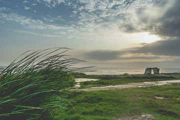 Fototapeta premium sunset at the beach