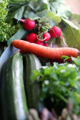 Various vegetables and herbs on a table: leek, lettuce, asparagus, parsley, carrot and radish. Selective focus.