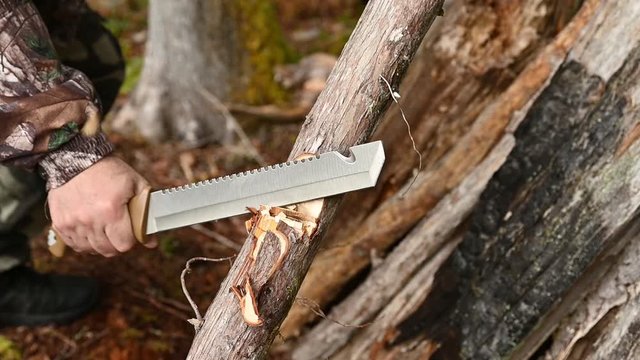 A survivorman cut through twigs, branches and logs to build a woodland shelter with his machete on a survival and bushcraft course in British Columbia, Canada