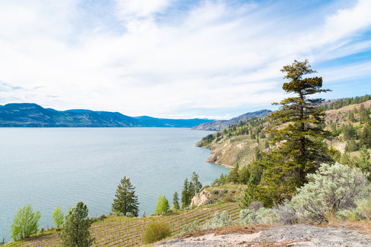 View from above of Okanagan Lake and mountains in springtime