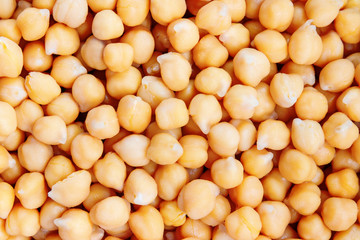 Soaked chickpeas. Chickpeas are hign in proteins and a common ingredient hummus, chana masala and falafel.