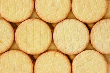 Layout of typical dutch syrup cookies (stroopkoeken) a variant of the famous Gouda syrup waffle (stroopwafels).