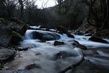 Arroyo pasando por encima de piedras y palos