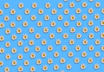 daisy flower polka dot seamless pattern on pastel blue background