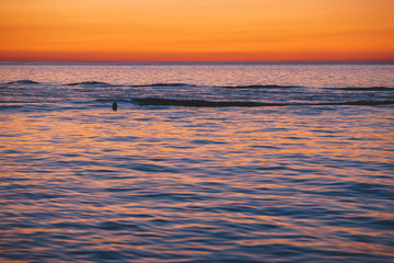 Fototapeta na wymiar Sea Horizon At The Sunset