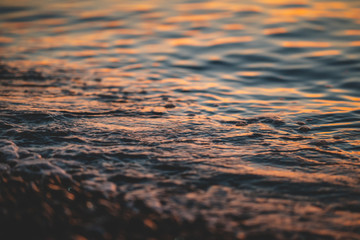 Shore Of The Sea In The Evening