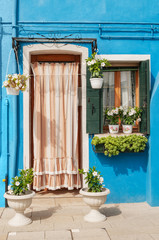 Fototapeta na wymiar Colorful blue house facade with curtained door, wooden shutters on window and potted plants on windowsill
