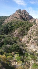 34,35,162,165.244812