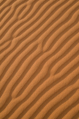 desert dune tracks