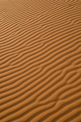 orange red desert sand