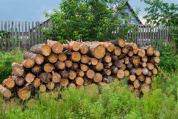 neatly folded pile of firewood on a green lawn near the house