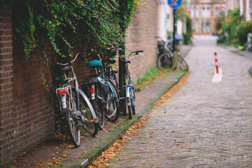 Streets in the Netherlands on autumn