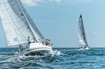 Sailing yacht regatta. Yachting. Sailing race	 - 346951158