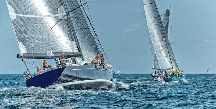 Sailing yacht regatta. Yachting. Sailing	