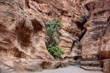 Petra Siq, Jordan