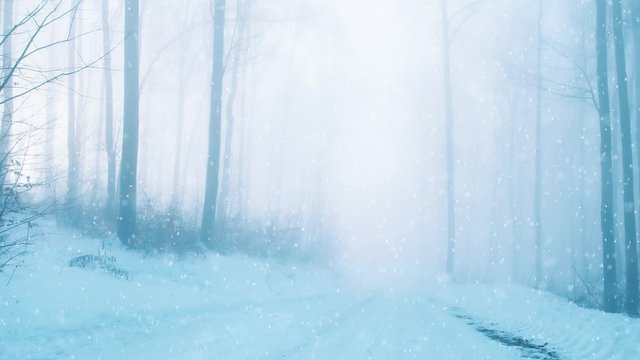 Foggy winter season forest road with snow falling. Magic snowy woods background.