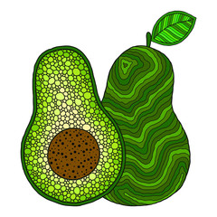 Avocado. Doodle detailed illustration. Isolated. - 346956578