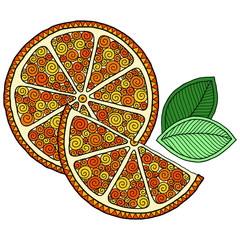 Orange. Doodle detailed illustration.