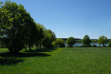 Gegend um die Westerwälder Seenplatte mit Dreifelder Weiher im Mai 2020 - Stockfoto