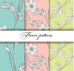 vector set of floral floral patterns