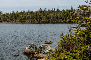 Views from a walk around Berryhill Pond. Gros Morne National Park, Newfoundland, Canada