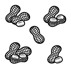 Peanuts set. Collection icon peanuts. Vector