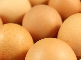 Tasty eggs with fresh natural raw chicken