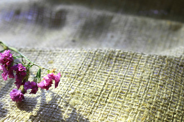 Wildflowers on a piece of cloth