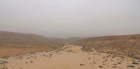 Fototapeta na wymiar a flesh flood in the desert