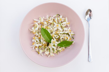 White flowers on the pink plate in the center of the white background, with spoon. Top view. Spring flowers concept. Closeup.