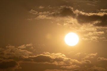 Sunshine