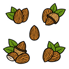 Almond set. Collection icon almond. Vector