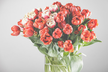 A large tulip bouquet, many flowers with red blossoms. 
