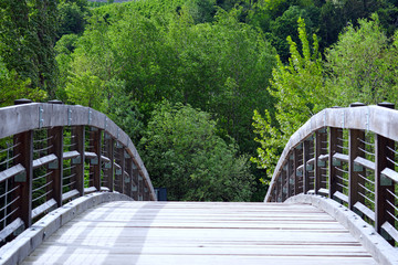 Wooden bridge and trees behind.